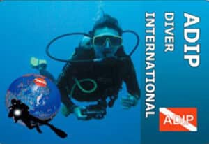 Basic Diver (P12-E) — Supervised Diver — ADIP