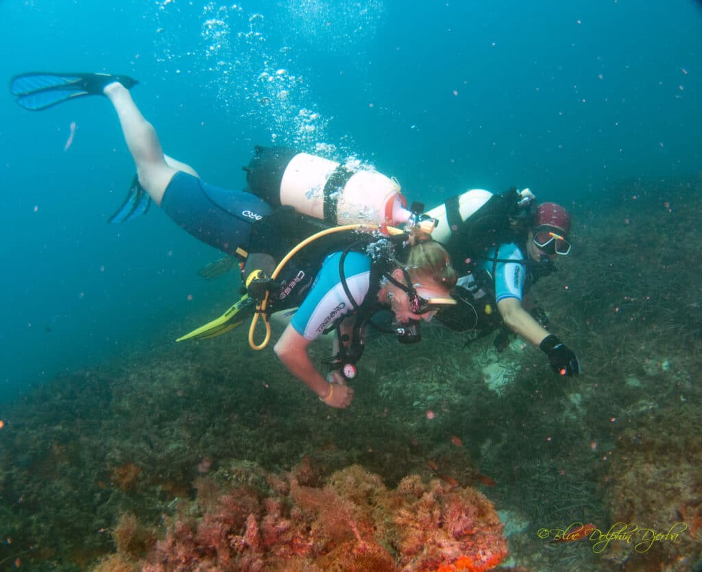 Scuba Diving at the Rochers aux Poulpes, Djerba