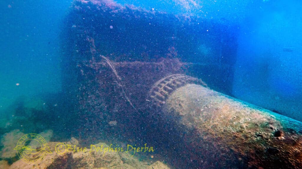Plongée sous-marine à La Crépine, Djerba