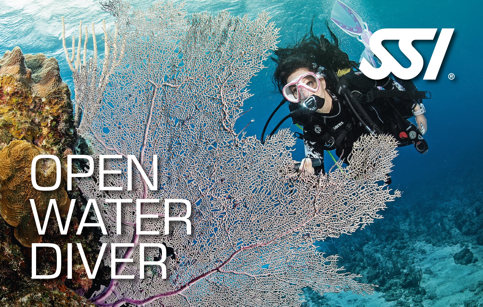 SSI Open Water Diver with Blue Dolphin Djerba