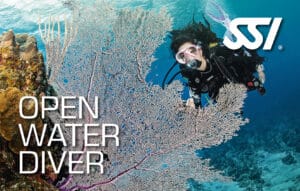 Open Water Diver — SSI