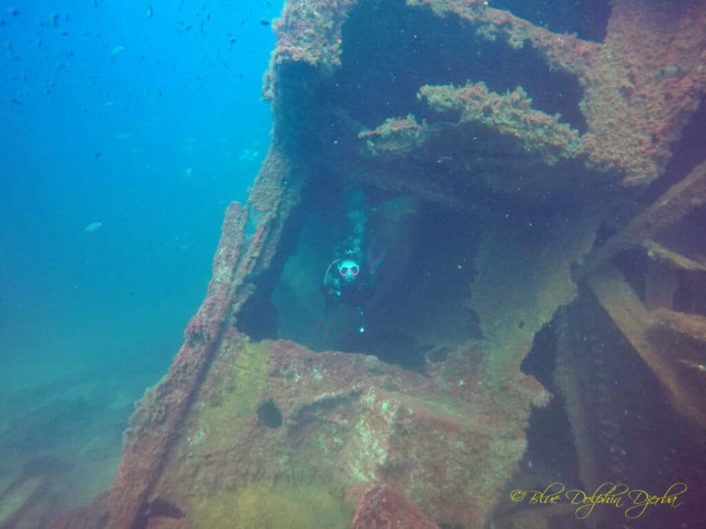 Scuba Diving at the Ricardo Wreck, Djerba