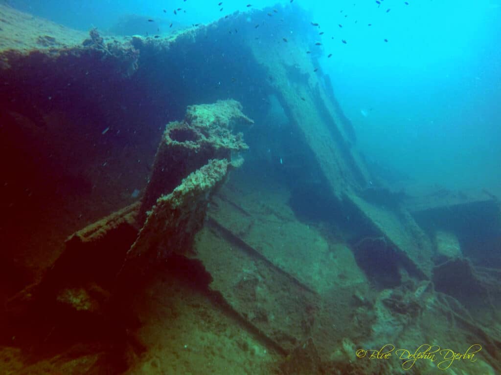 Scuba Diving at the Ricardo Wreck, Djerba