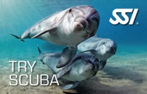 Try Scuba Diving — SSI