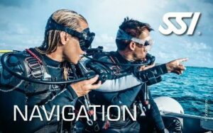 Navigation — SSI