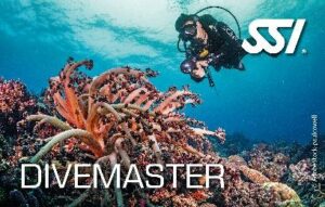 Divemaster — SSI