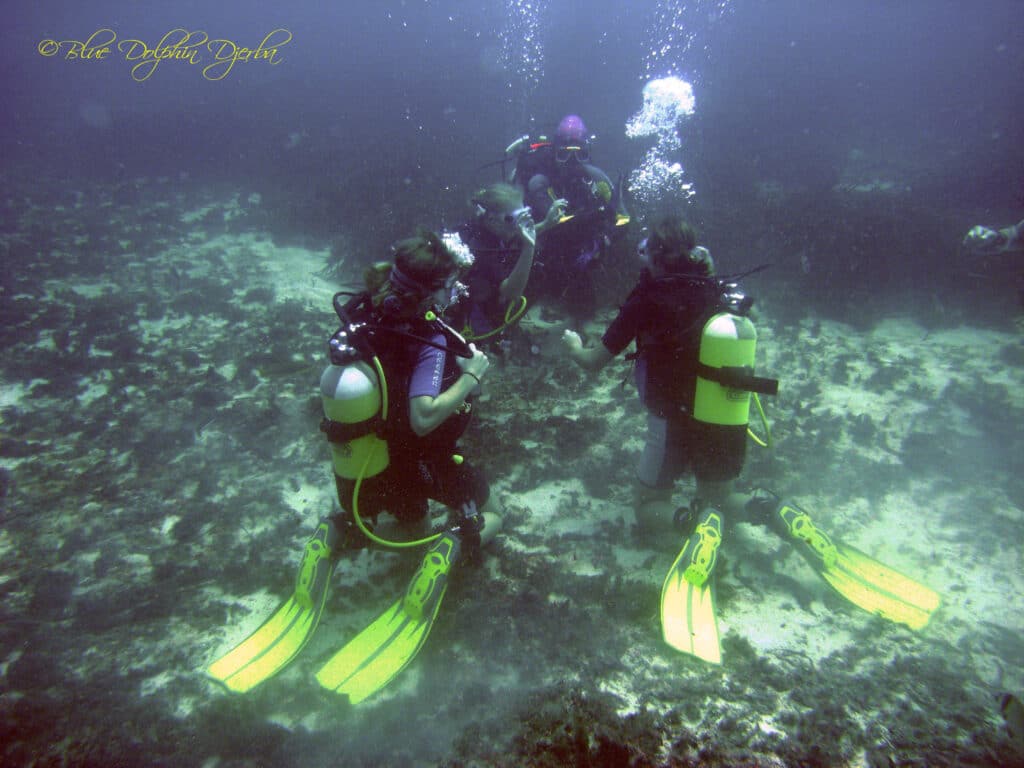 Plongée sous-marine aux Rochers du Ras Turgueness, Djerba
