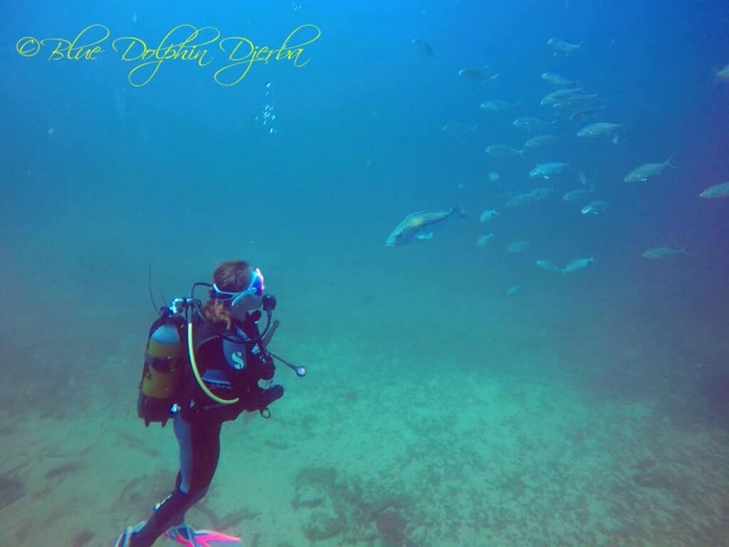 Scuba Diving at the Ricardo Wreck, Djerba
