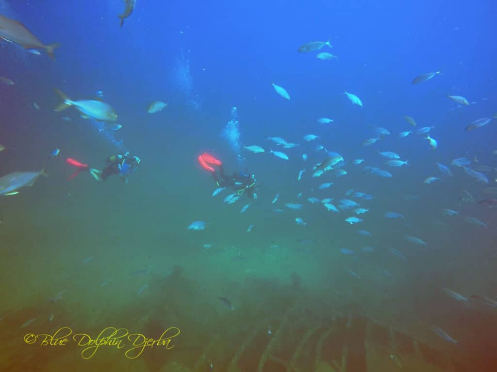 Scuba Diving at the Ricardo Wreck, Djerba