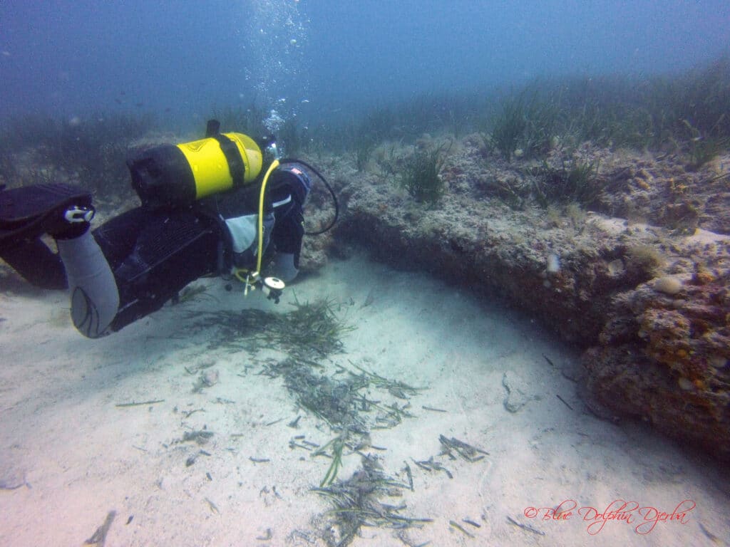 Scuba Diving at the Rochers aux Poulpes, Djerba