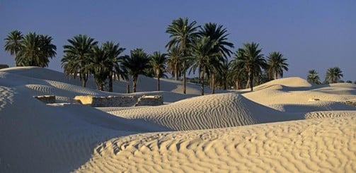 Oasis de Ksar Ghilane, Tunisie